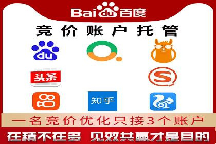 SEM精准广告投放的五大成功案例